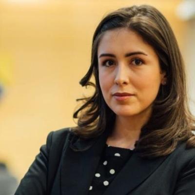 VEDRANA VUJOVIĆ ZA &quot;SB&quot; O &quot;TROJCI&quot; I JUŽNOJ INTERKONEKCIJI: &quot;Da ovo gledamo na Netflixu, bilo bi...&quot;