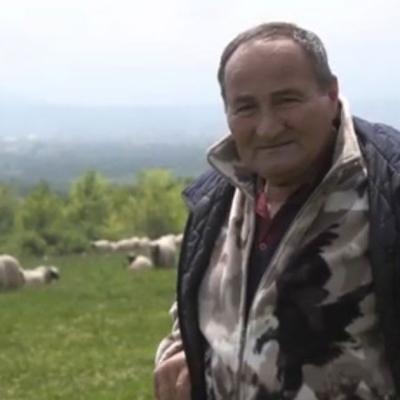 Pala prodaja janjadi uoči 1. maja: "Možeš ti cijeniti koliko hoćeš, ali koliko ćeš prodati…" Pala prodaja janjadi uoči 1. maja: "Možeš ti cijeniti koliko hoćeš, ali koliko ćeš prodati…"