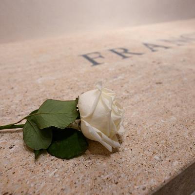 Zašto je na grobu pape Franje ostavljena jedna bijela ruža: Priča o cvijetu koji ga je pratio cijeli život Zašto je na grobu pape Franje ostavljena jedna bijela ruža: Priča o cvijetu koji ga je pratio cijeli život