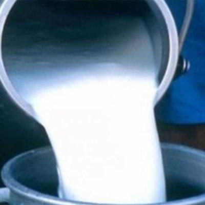 MUKE PROIZVOĐAČA REGIONA: Drastično opada otkupna cijena mlijeka