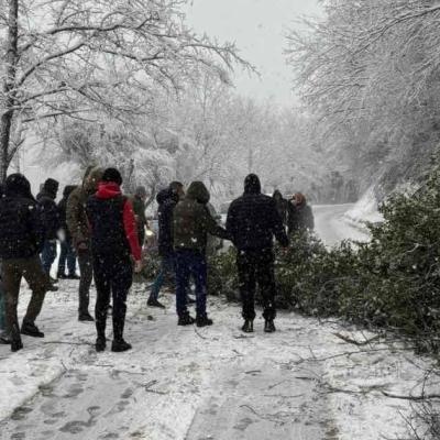 Zaustavljen saobraćaj zbog oborenog stabla, brojni problemi na bh. cestama