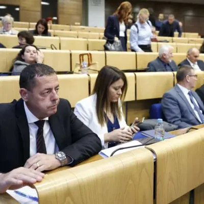 Kakvi su stavovi parlamentaraca uoči vanredne sjednice Doma naroda o Južnoj interkonekciji