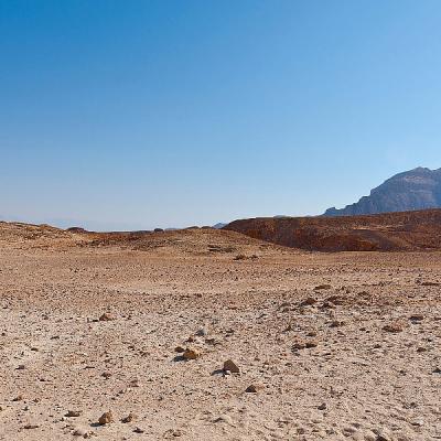 Crtice iz knjige američkog teoretičara o nadrealnom susretu sa superbogatašima: Govorili su o sudnjem danu Crtice iz knjige američkog teoretičara o nadrealnom susretu sa superbogatašima: Govorili su o sudnjem danu