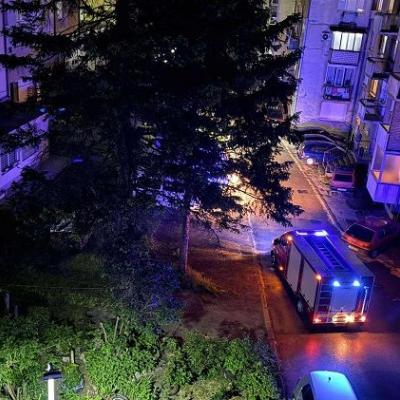 Zmija se zavukla u stan u Konjicu, vlasnicu alarmirale komšije, intervenirali i vatrogasci