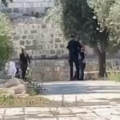 Izraelci pod zaštitom policije upali u prostor džamije Al-Aqsa u okupiranom Jerusalemu