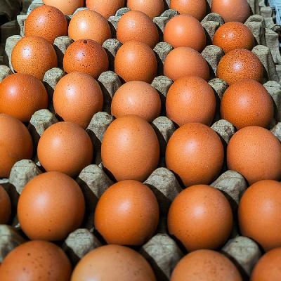 Kupovna moć građana sve lošija, ovogodišnji Uskrs u RS-u najskuplji dosad Kupovna moć građana sve lošija, ovogodišnji Uskrs u RS-u najskuplji dosad