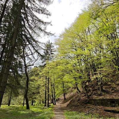 Bistričak kod Zenice: Izletište koje godinama propada, a ima ogroman turistički potencijal Bistričak kod Zenice: Izletište koje godinama propada, a ima ogroman turistički potencijal