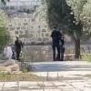 Izraelci pod zaštitom policije upali u prostor džamije Al-Aqsa u okupiranom Jerusalemu