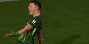 Dženan Pejčinović zabio prvijenac u Bundesligi u dresu Wolfsburga