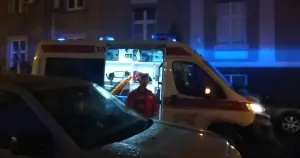 Poginula pje&scaron;akinja, vozač pobjegao: Jo&scaron; jedna nesreća na bh. putevima