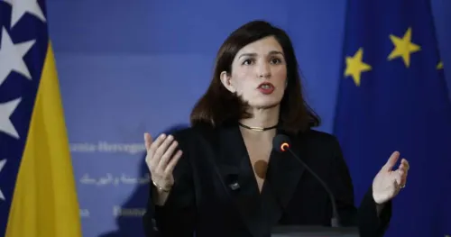 Ćudić: BiH treba odbaciti vanjske uticaje i usvojiti evropske standarde