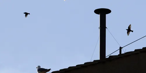 Za koliko novca Vatikan iznajmljuje pozicije s najboljim pogledom na dimnjak: Plaća se suhim zlatom