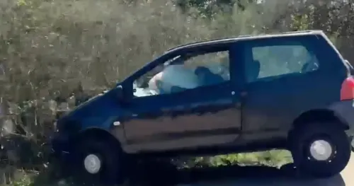 U BiH se pojavio opasan TikTok izazov, i oni koji ne učestvuju u njemu su u opasnosti (VIDEO)