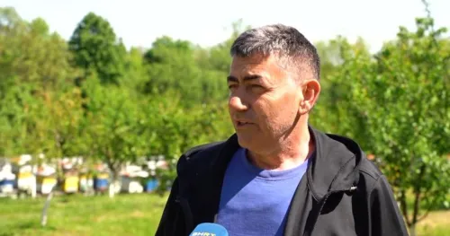 Pčelari u BiH zabrinuti zbog velikog pomora pčela, poznati uzroci