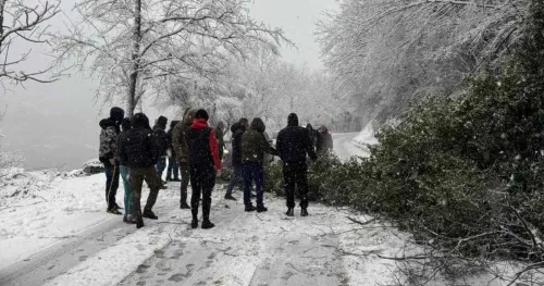 Zaustavljen saobraćaj zbog oborenog stabla, brojni problemi na bh. cestama