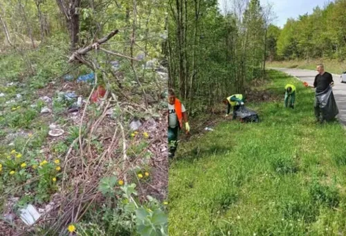 Radnici &scaron;umarije čiste &ndash; nesavjesni građani prljaju! Dokle vi&scaron;e?