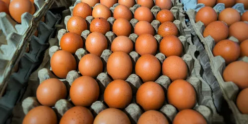 Kupovna moć građana sve lo&scaron;ija, ovogodi&scaron;nji Uskrs u RS-u najskuplji dosad