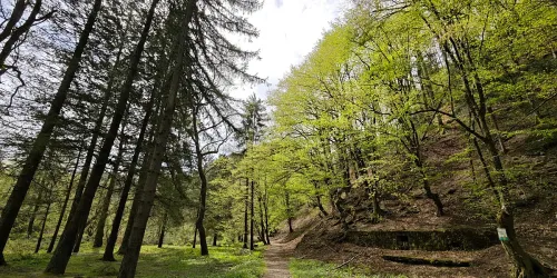 Bistričak kod Zenice: Izleti&scaron;te koje godinama propada, a ima ogroman turistički potencijal